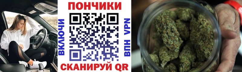 дарк нет клад  Гулькевичи  Бошки Шишки семена 